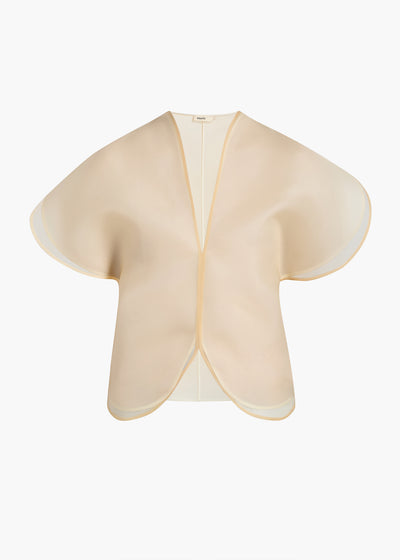 BRIAR TOP CHAMPAGNE 2451343 991 GHOST