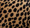 Crosby Bag in Hyena Print Haircalf swatch