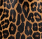 Loxley Skirt in Leopard Print Haircalf swatch