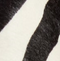 Jane Flat in Zebra Print Haircalf swatch
