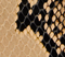 Liria Ankle Strap Sandal in Python-Embossed Taupe swatch