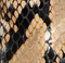 Marlene Pump in Python-Embossed Taupe swatch