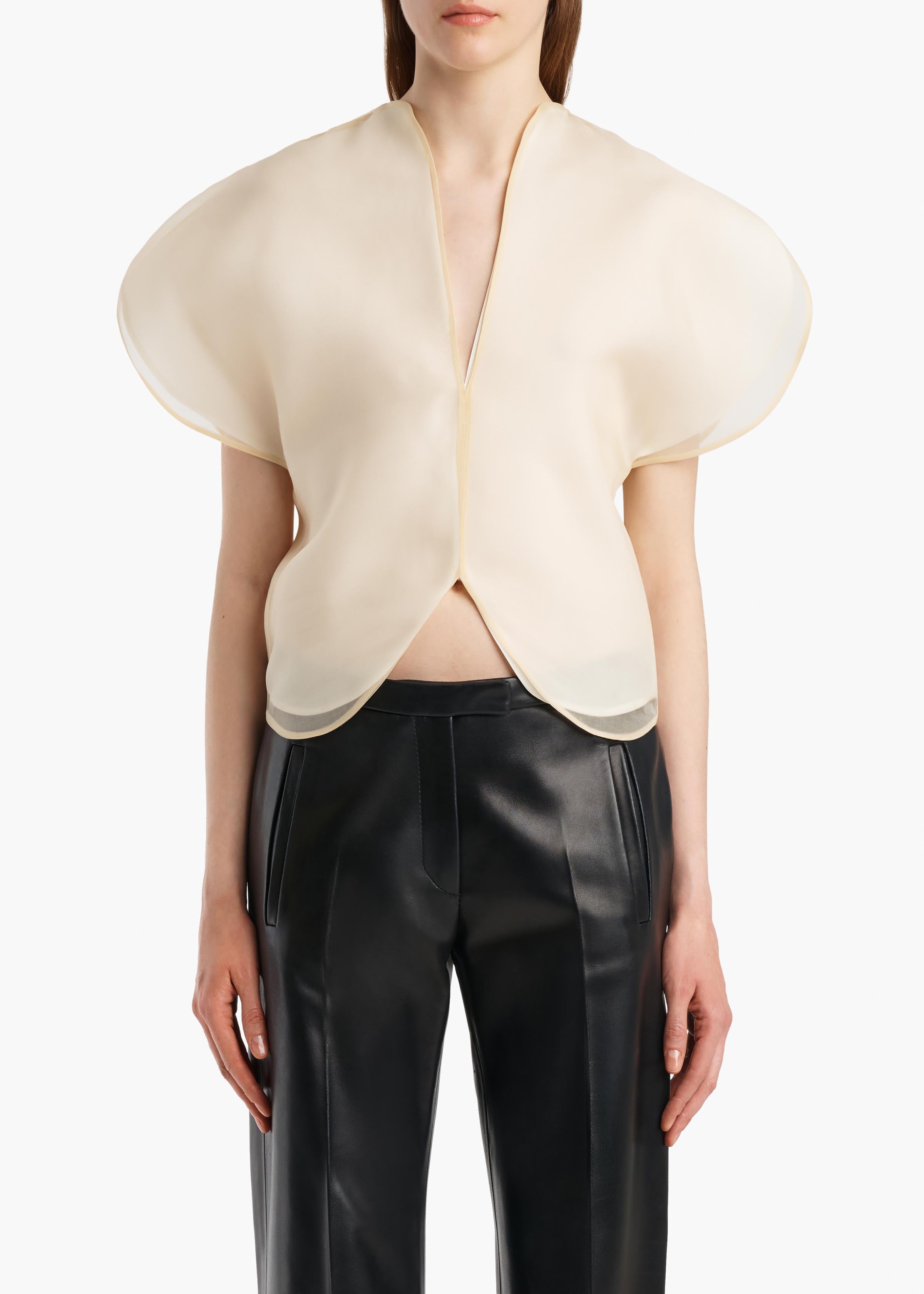 BRIAR TOP CHAMPAGNE 2451343 991 B