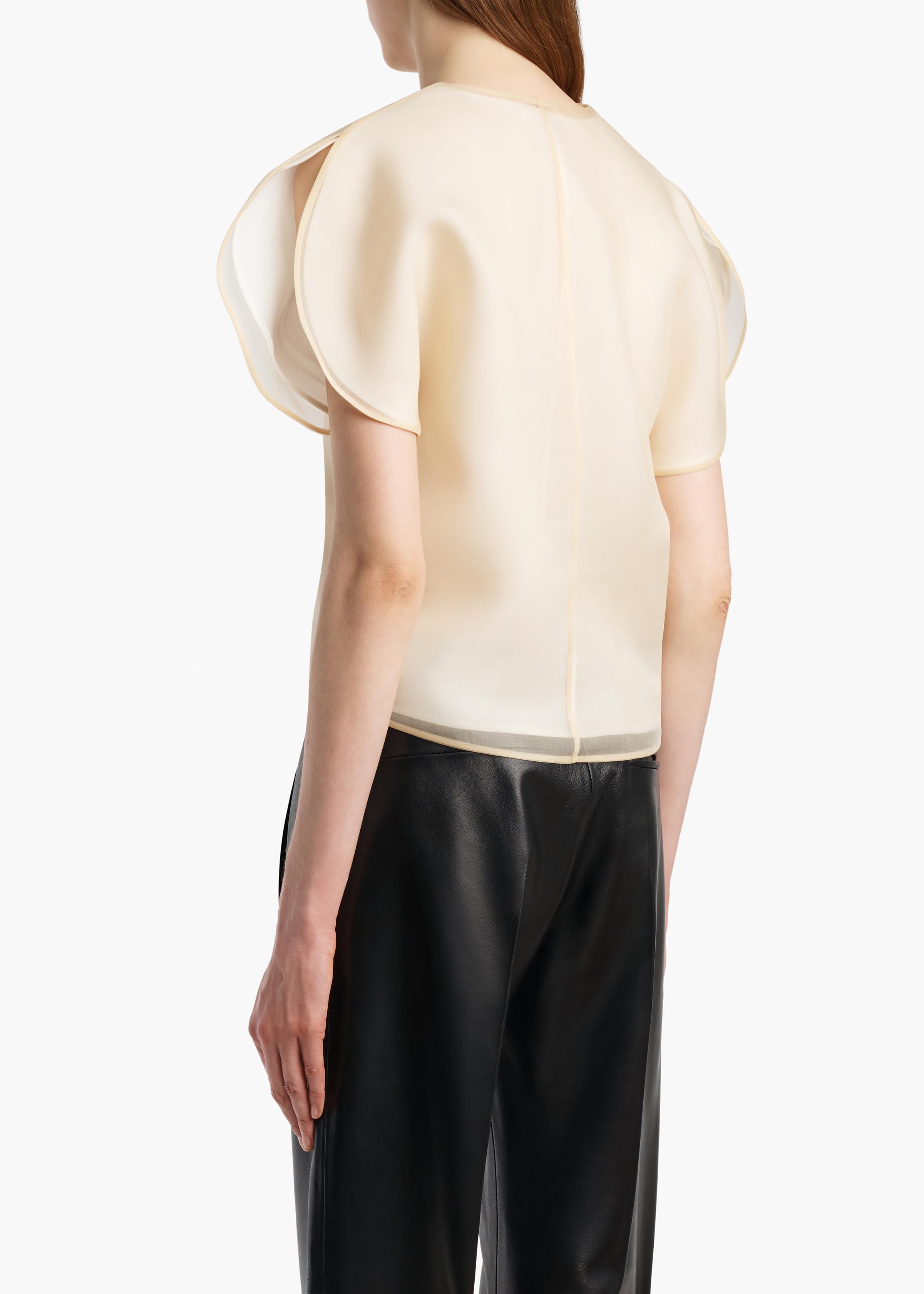 BRIAR TOP CHAMPAGNE 2451343 991 C