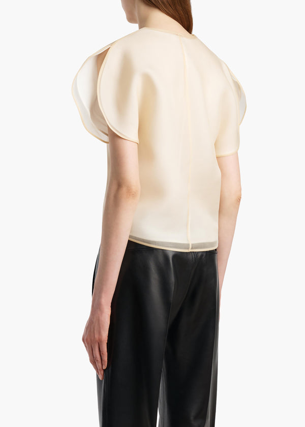 BRIAR TOP CHAMPAGNE 2451343 991 C