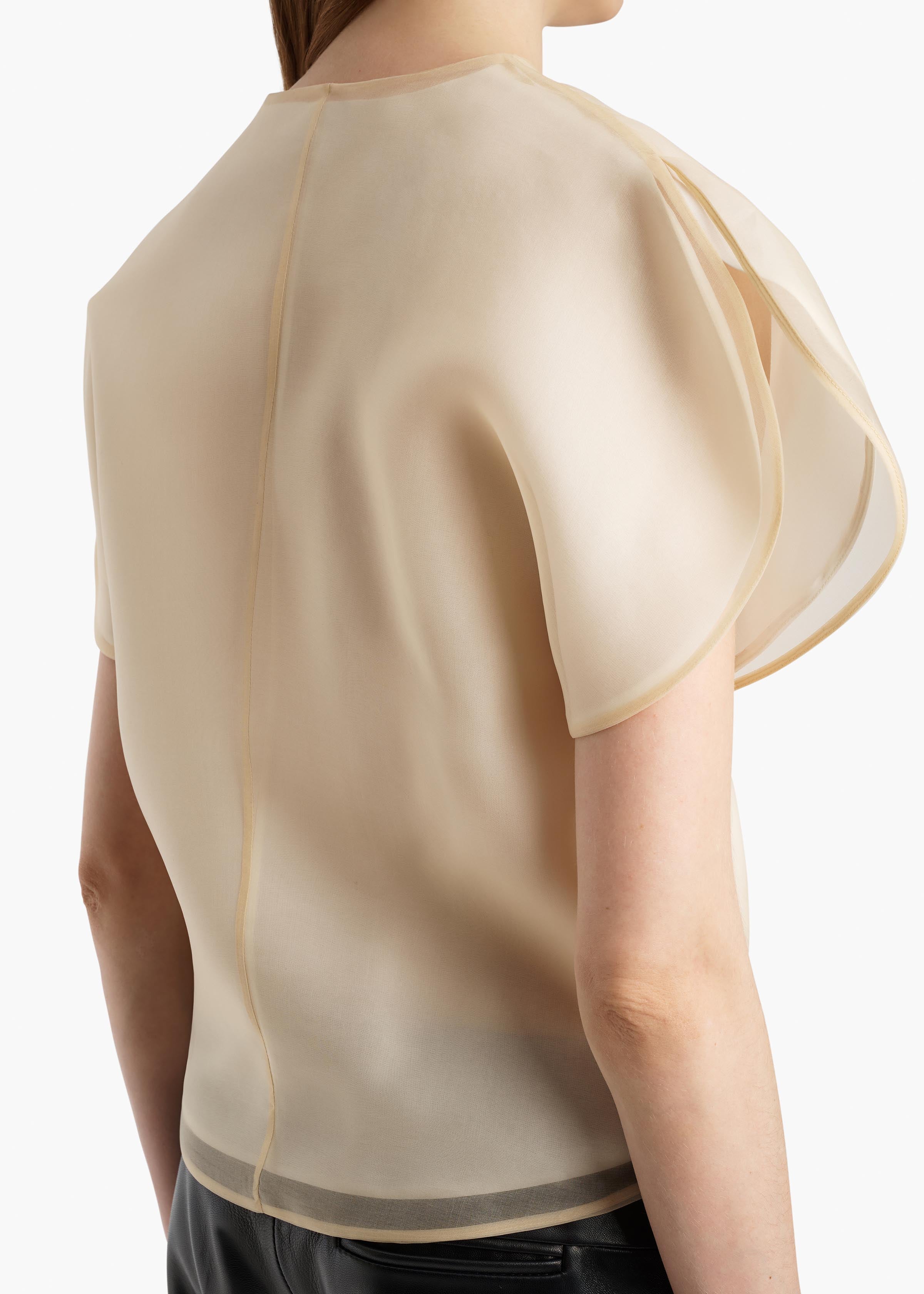 BRIAR TOP CHAMPAGNE 2451343 991 E