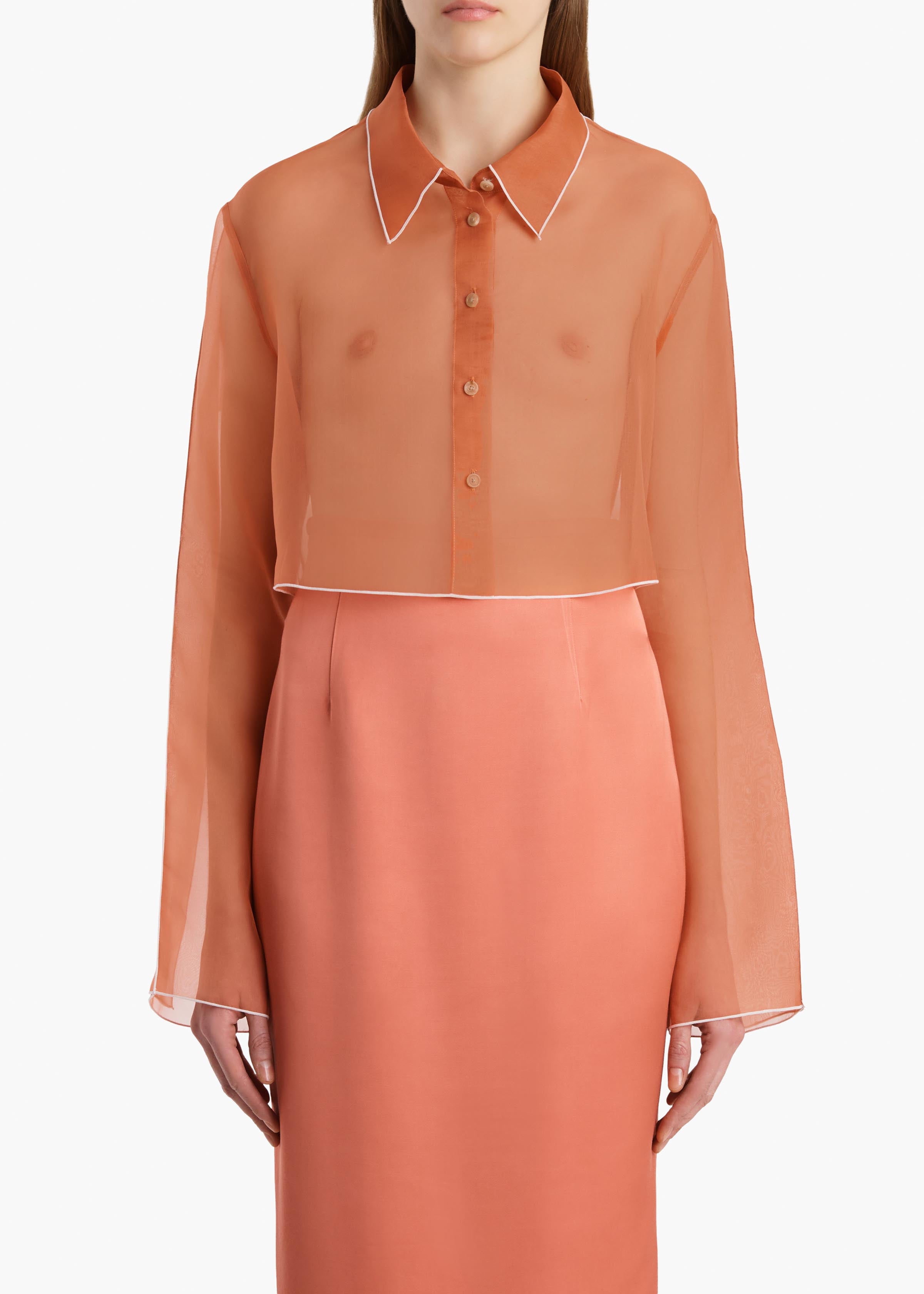 FRITZ TOP DAHLIA 2464343 587 B