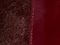 Jane Flat in Rouge Noir Haircalf and Glazed Leather swatch