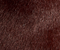 Colt Low Mule in Rouge Noir Haircalf swatch