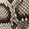 Donna Evening Clutch in Natural Python swatch