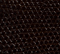 Blake Long Clutch in Ebano Lizard swatch