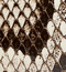 Blake Long Clutch in Natural Python swatch