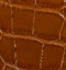 Blake Top Handle Bag in Dark Honey Alligator swatch