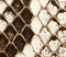 Blake Nano Bag in Natural Python swatch