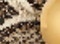 Dome Belt in Natural Python with Gold swatch