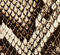 Theo Waist Belt in Natural Python swatch