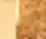 Small Lucca Belt in Caramel Leather with Gold swatch