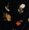Han Pant in Black Flower Embroidery swatch