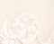 Neema Top in Ivory Glow swatch