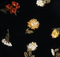 Rolo Jacket in Black Flower Embroidery swatch