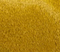 Audrey Clutch in Golden Olive Haircalf swatch