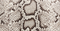 Piper Clutch In Natural Python swatch