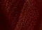 Miriam Low Pump in Rust swatch