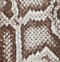 Remo Long Gloves in Natural Python swatch
