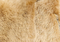 Rocco Jacket in Golden Rye Shearling swatch