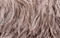 Lilith Chain Evening Bag in Dark Haze swatch