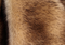 Zizi Cape in Natural Shearling swatch