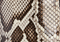 Eve Slingback Pump in Natural Python swatch